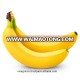 Cavendish Banana - Donald +84907879539