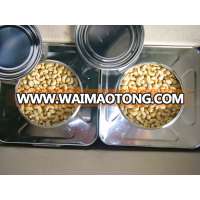 Common Fine cashew nuts