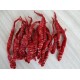 Organic byadgi red chilli