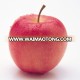 wholesale price cheap pretty style buy export fresh red delicious apple fruit fresh apple