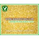 BEST PRICE_FROZEN CORN KERNEL_FROM VIETNAM !