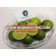 BEST PRICE_FRESH SEEDLESS LIME_BEST QUALITY_FROM VIETNAM !