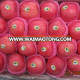 Fresh Fruit mainly fuji apple from china