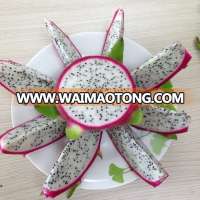 Dragon Fruit