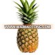 Pineapple - Jason +84 979 004 967