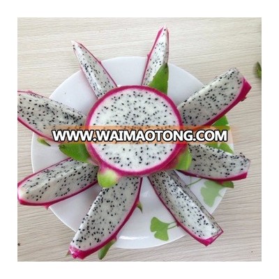 BEST VIETNAM DRAGON FRUIT/PITAYA - Donald +84 979 004 967