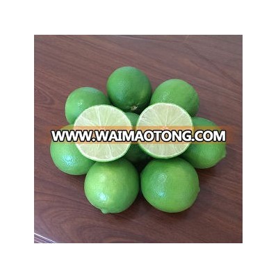 VIETNAM FRESH SEEDLESS LIME