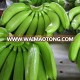 Cavendish Banana - Jason +84 979 004 967