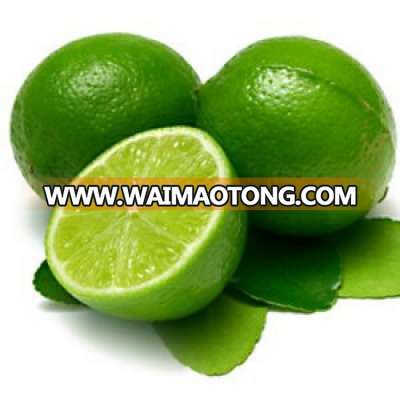 Green Seedless Lime -Jason +84979004967