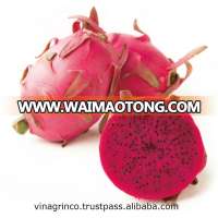 Red Dragon Fruit