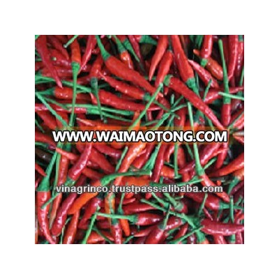 Fresh Red Chilli