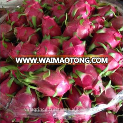 Vietnam white flesh dragon fruit