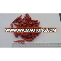 Vietnam Dried Chili