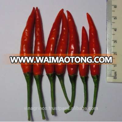 Vietnam Fresh Chili