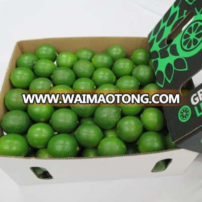 Vietnam Fresh Seedless Lime