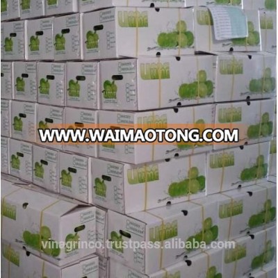 Vietnam Fresh Seedless Lime