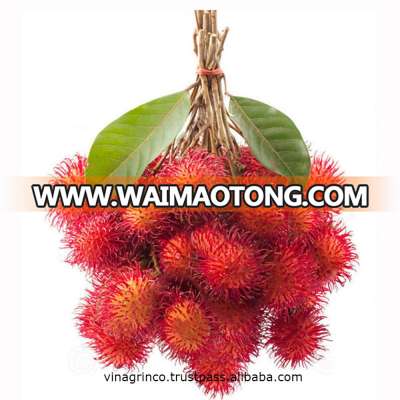 Rambutan - Jason +84 979 004 967