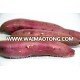 Vietnam Japanese Sweet Potato