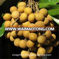 fresh longan