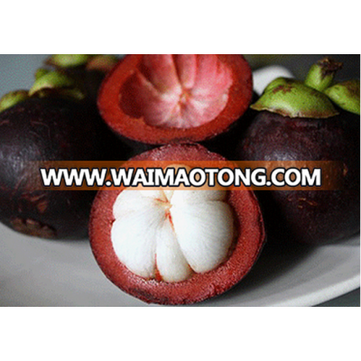 MANGOSTEEN