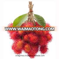 RAMBUTAN 10