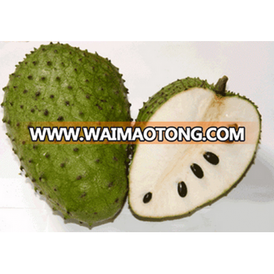 SOURSOP 01