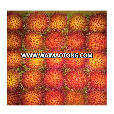 Vietnam Rambutan Fruit