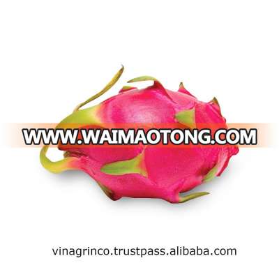 Vietnam Fresh Dragon Fruit (high quality with good price at farm) HP: +84982133312