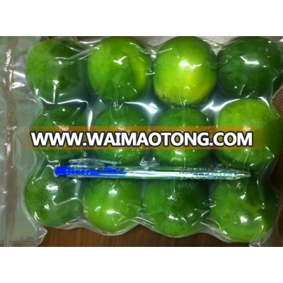 HIGH QUALITY SEEDLESS LIME- WHATSAPP: +841204590950