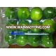 HIGH QUALITY SEEDLESS LIME- WHATSAPP: +841204590950