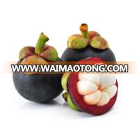 Mangosteen