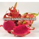 BEST VIET NAM RED/ PINK PITAYA - THE PRODUCT WITH GOOD QUALITY AND PRICE