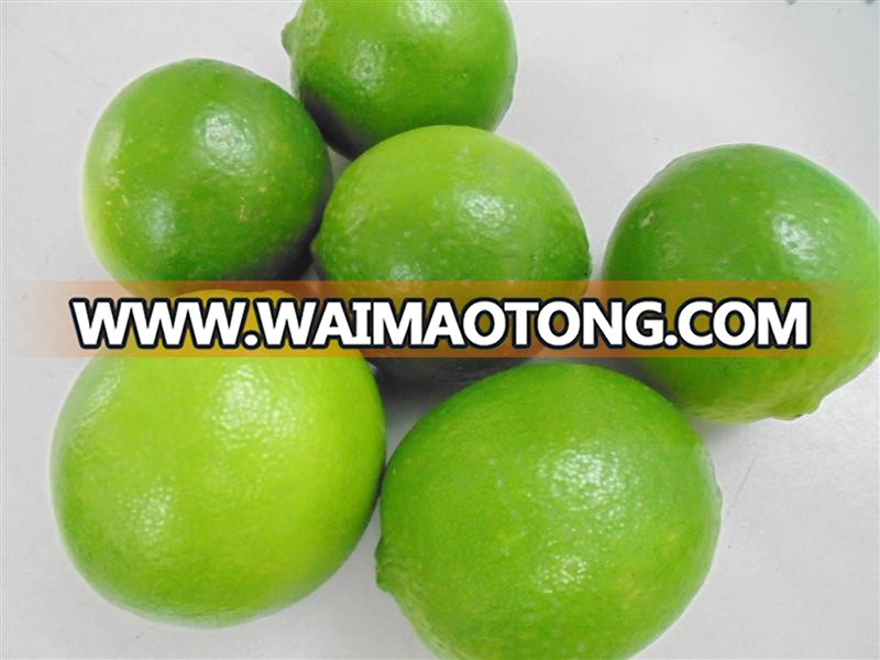 SEEDLESS LIME